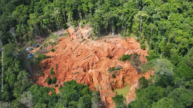 Goldmine inmitten des Regenwaldes. Großer brauner Erdhügel mit kleinen Wasserbecken..