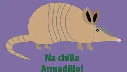 Ein gezeichnetes Armadillo von der Seite. Auf dem Sticker der Text: "Regenwaldschutz? Na chillo Armadillo"