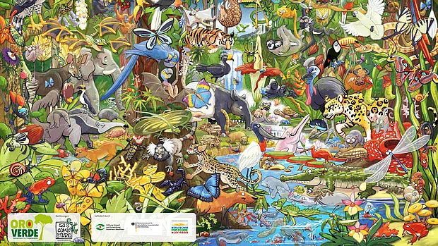 Das Bild zeigt ein Wimmelposter mit verschiedenen gezeichneten Tieren aus den Regenwäldern der Erde.