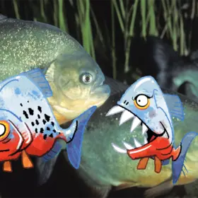 Schwimmende Piranhas- im Comic Stil hinzugefügt - 3 zusätzliche, bunte, Piranhas und eine Wasserpflanze.