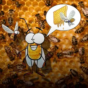 Die Nahansicht einer Bienenwabe mit vielen Bienen- im Comic Stil hinzugefügt - eine weitere Biene denkt an "Waben und Bienen".