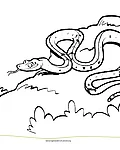 Eine schwarz-weiß Malvorlage von einer Python.