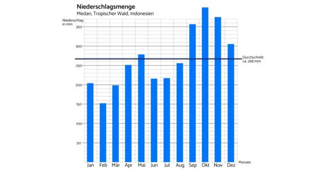 Regendiagramm von Medan in Indonesien.