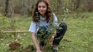 Ein junges Mädchen das auf einer Wiese einen Baum pflanzt. 