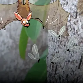 Eine Comic-Fledermaus hängt vom Baum und beobachtet gierig gezeichnete Insekten. Fledermäuse und Flughunde sind Säugetiere, die Flügel haben und fliegen können.