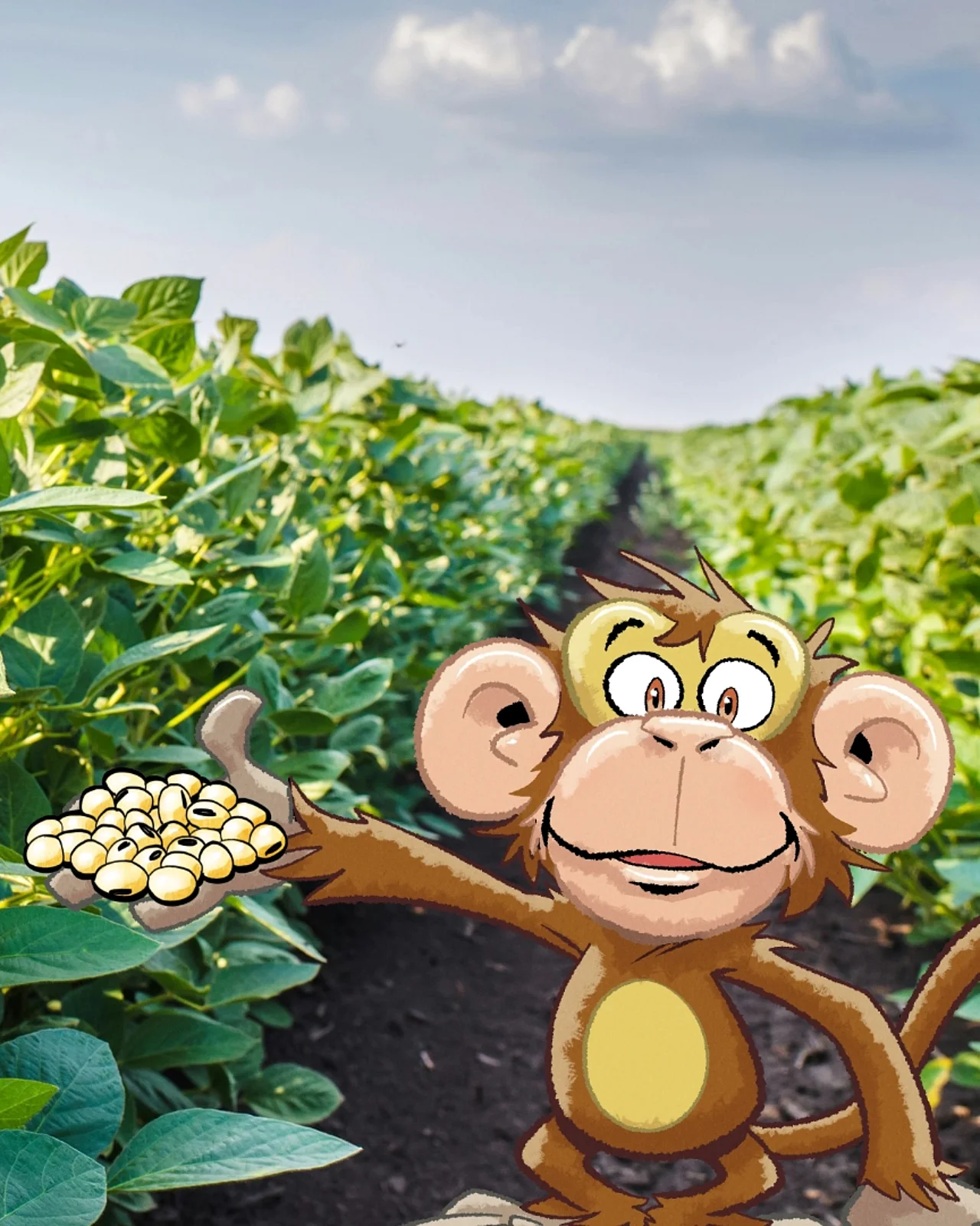Ein Sojafeld - im Comic Stil hinzugefügt - ein Affe, der Sojabohnen in der Hand hält.