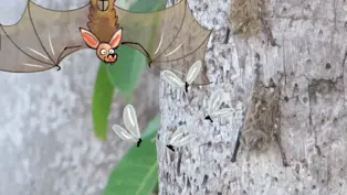 Eine Comic-Fledermaus hängt vom Baum und beobachtet gierig gezeichnete Insekten. Fledermäuse und Flughunde sind Säugetiere, die Flügel haben und fliegen können.