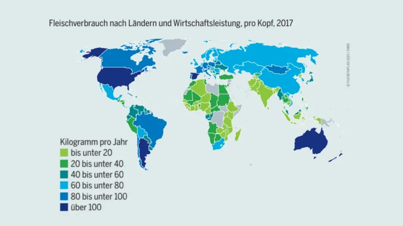 Der Fleischverbrauch der Länder ist sehr unterschiedlich. In Ländern wie zum Beispiel Indien, Pakistan, Algerien, Nigeria und Tansania lag er 2017 bei unter 20 Kilogramm (kg) pro Kopf. Spitzenreiter sind 2017 die USA, Spanien, Argentinien und Australien. Diese Länder haben mit über 100 kg pro Person den höchsten Fleischverbrauch. Deutschland ist mit 80 bis 100 kg pro Person auch ein Land, in dem viel Fleisch verbraucht wird. 