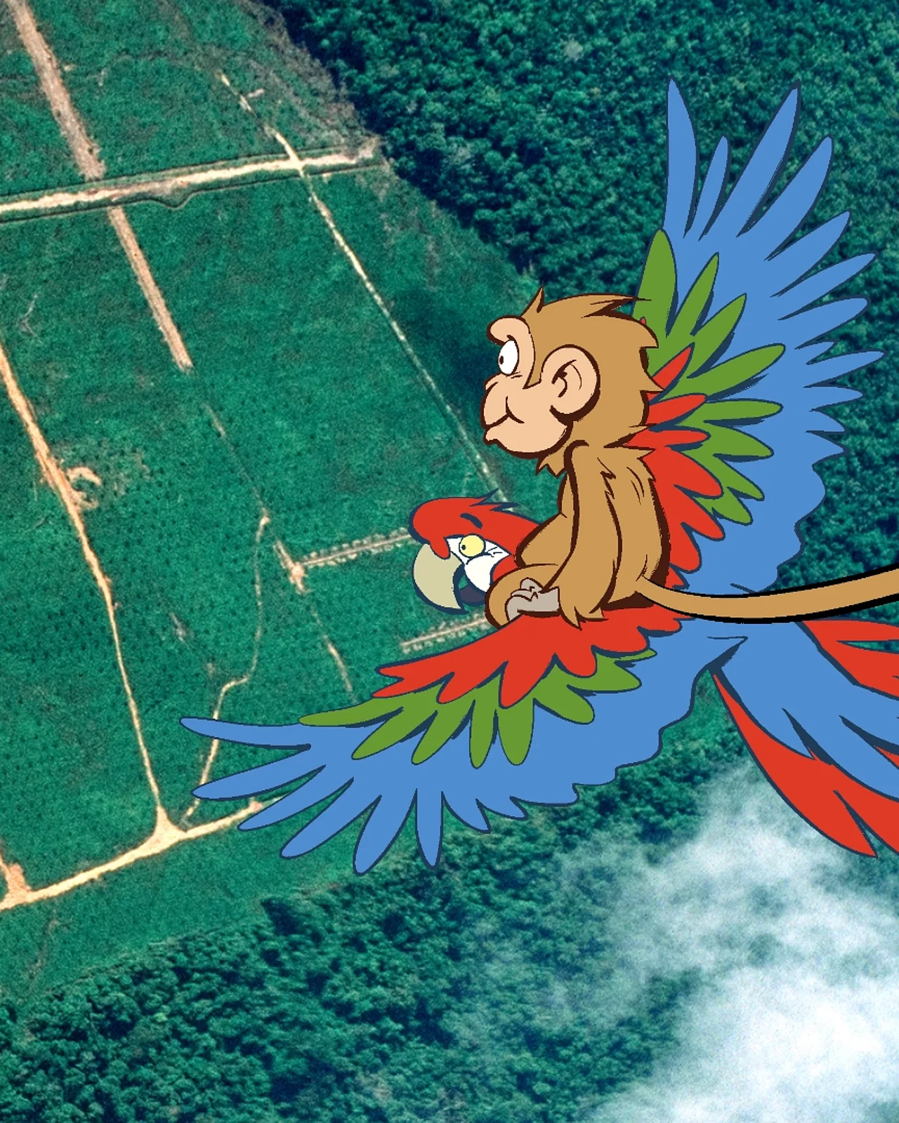 Eine Luftaufnahme von Regenwald und Plantagenflächen - im Comic Stil hinzugefügt - ein fliegender Ara mit einem Affen auf dem Rücken.