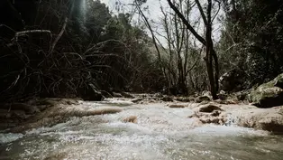 Ein reißender Fluss der sehr viel Wasser mit sich führt.