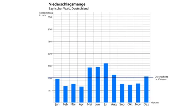 Regendiagramm des Bayerischen Wald in Deutschland