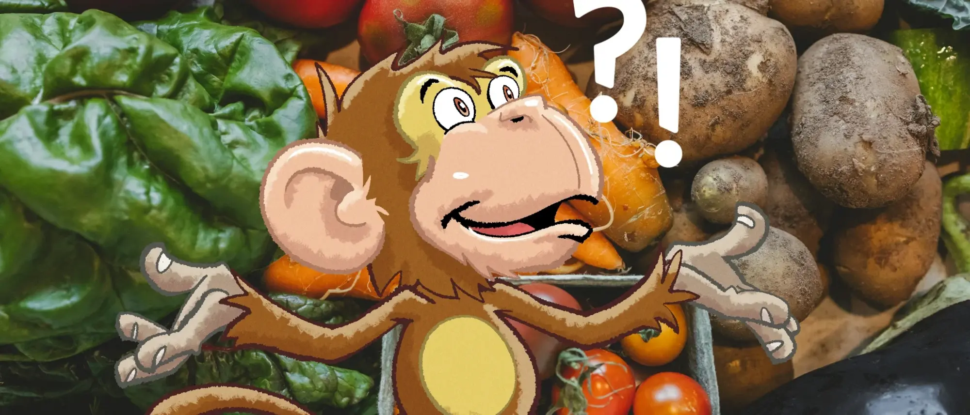 Das Foto zeigt verschiedene Arten Gemüse - im Comicstil hinzugefügt - ein Affe mit einem Frage- und einem Ausrufzeichen über dem Kopf. 