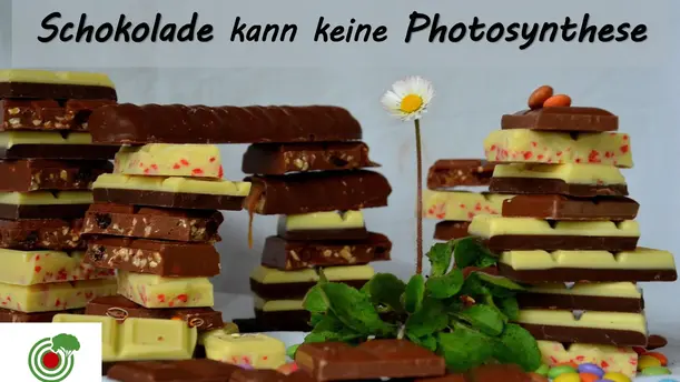 Ein Plakat, dass Schokoladenstücke gestapelt zeigt. Dazwischen ein Gänseblümchen. 