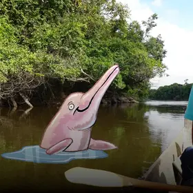 Ein gezeichneter Flussdelfin im Wasser neben einem Boot.