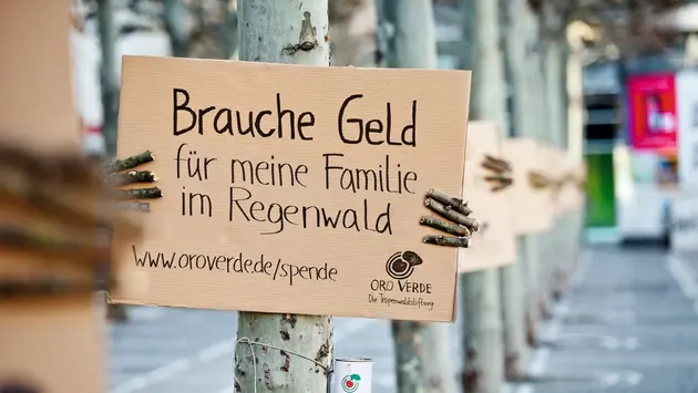 Baum hält mit Fingern, die aus Ästchen bestehen, ein Schild in der Hand, auf dem steht: Brauche Geld für meine Familie im Regenwald.