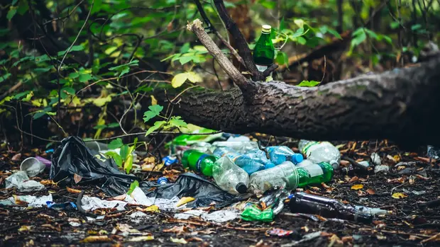 Auf dem Waldboden neben einem Baum liegt zusammengeknülltes Papier und Plastikverpackungen.