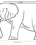 Ein Elefant zum Falten und aufstellen.