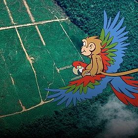 Eine Luftaufnahme von Regenwald und Plantagenflächen - im Comic Stil hinzugefügt - ein fliegender Ara mit einem Affen auf dem Rücken.