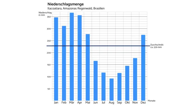 Regendiagramm von Itacoatiara in Brasilien.