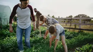 2 Erwachsene und 2 Mädchen arbeiten, gutgelaunt, auf dem Feld eines Gemeinschaftsbauernhofes.