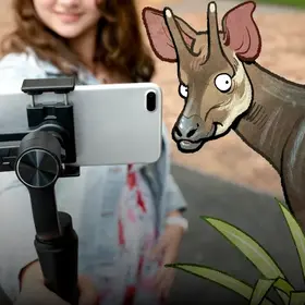 Das Bild zeigt ein Mädchen, dass in eine Handykamera lächelt  - im Comic Stil hinzugefügt - ein Okapi und eine Grünpflanze neben dem Mädchen.. 