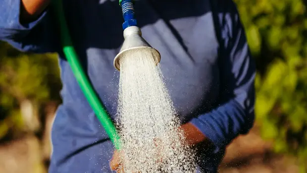 Eine Frau gießt mit einem Wasserschlauch Pflanzen. 