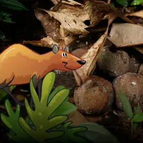 Paranussschalen im Regenwald auf dem Waldboden - im Comic Stil hinzugefügt -  ein Aguti (rechts) und ein Affe (links).