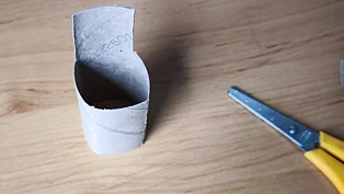 Eine Toilettenpapierrolle halbiert mit einer Schwere daneben. 