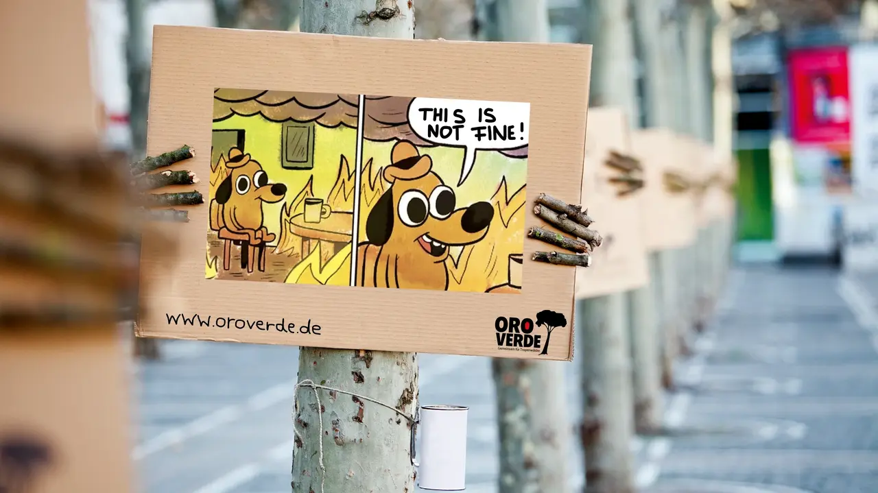 Bäume halten Plakate hoch auf denen das berühmte Meme mit dem Hund im Feuer, der sagt "This is not fine", abgebildet ist.