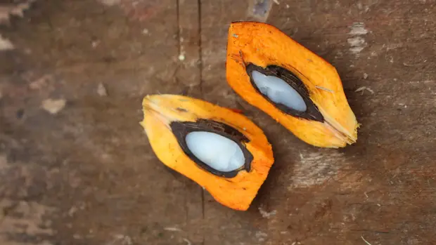 Aufgeschnittene Palmfrucht mit weißem Kern und orangefarbenem Fruchtfleisch