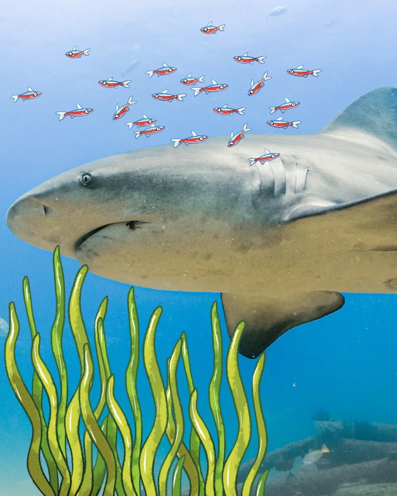 Ein Bullenhai schwimmt zwischen Comic-Guppys und Manatis umher