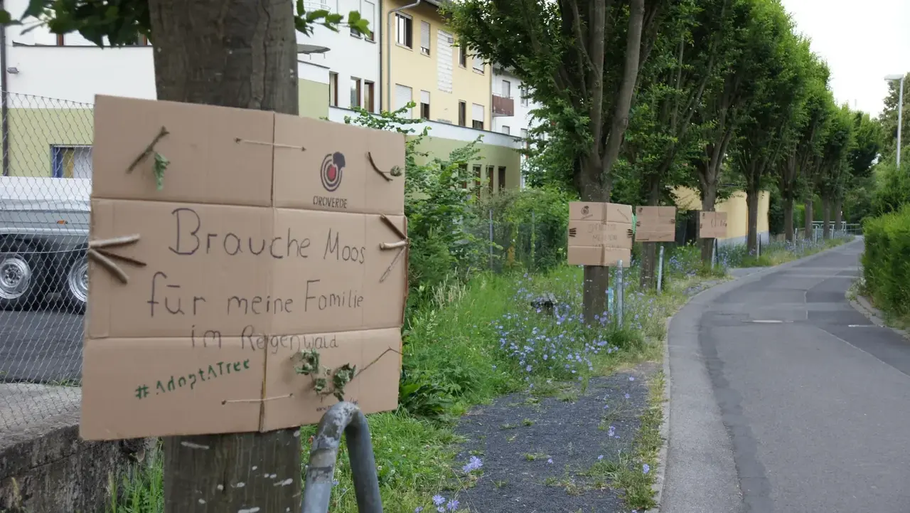 Das Bild zeigt eine Baumallee. Jeder Baum trägt ein Schild am Stamm mit Slogans darauf. 