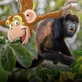 Ein Brüllaffe auf einem Baum im Regenwald - im Comic Stil hinzugefügt - ein Affe der, mit ausgebreiteten Arme, von einem Ast darüber, herunterhängt.
