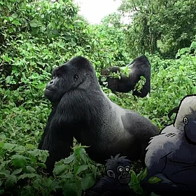 Zwei Silberrücken im Knöchelgang im grünen Dickicht - im Comic-Stil hinzugefügt - eine Gorilla-Familie. 