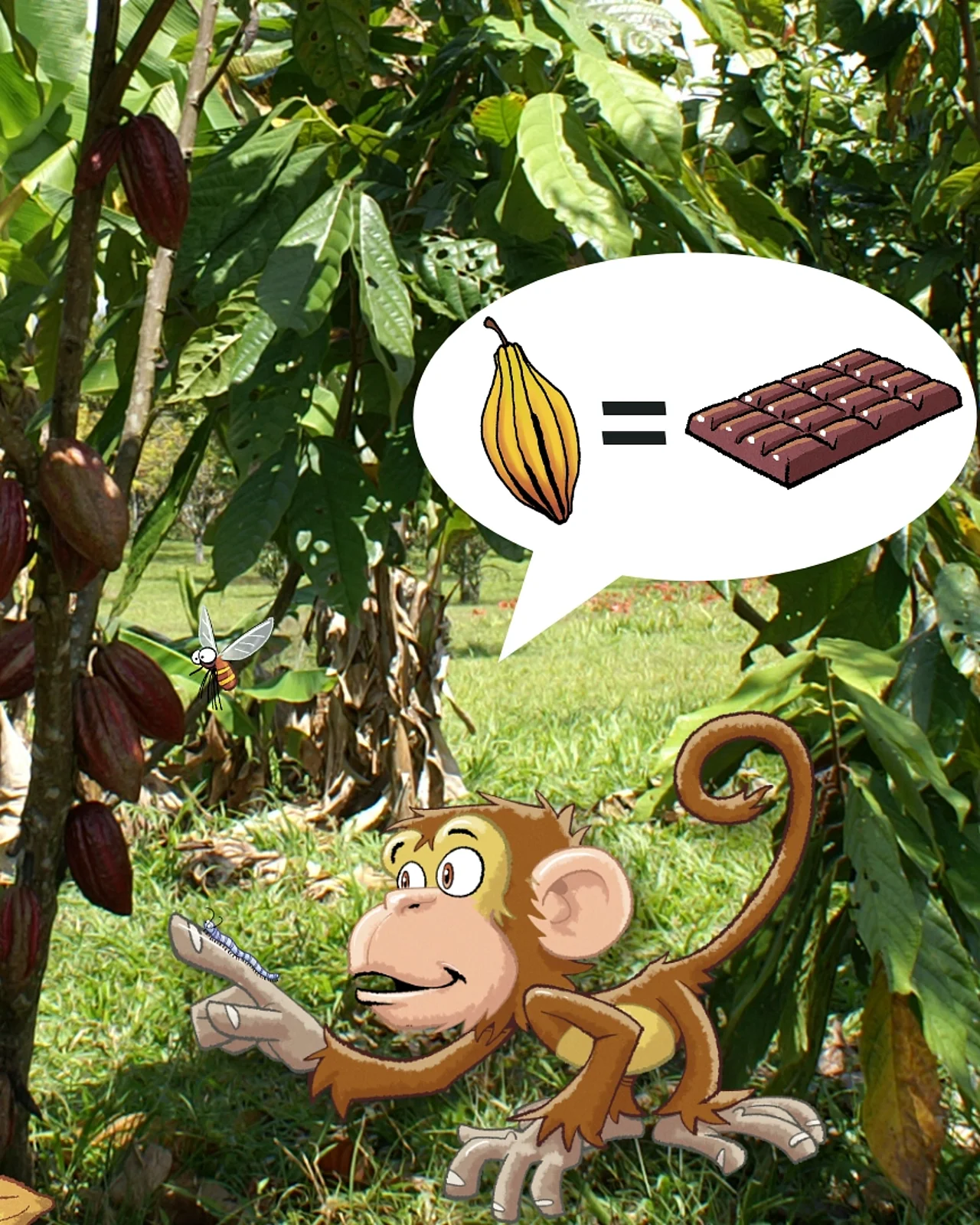 Das Bild zeigt einen Kakaobaum auf einer Wiese. Er trägt Früchte - im Comic Stil hinzugefügt - ein Affe mit einer Denkblase drüber. Darin eine Kakaoschote, Gleichzeichen und Schokoladentafel. 