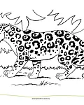Ein brüllender Jaguar streift durchs Gebüsch