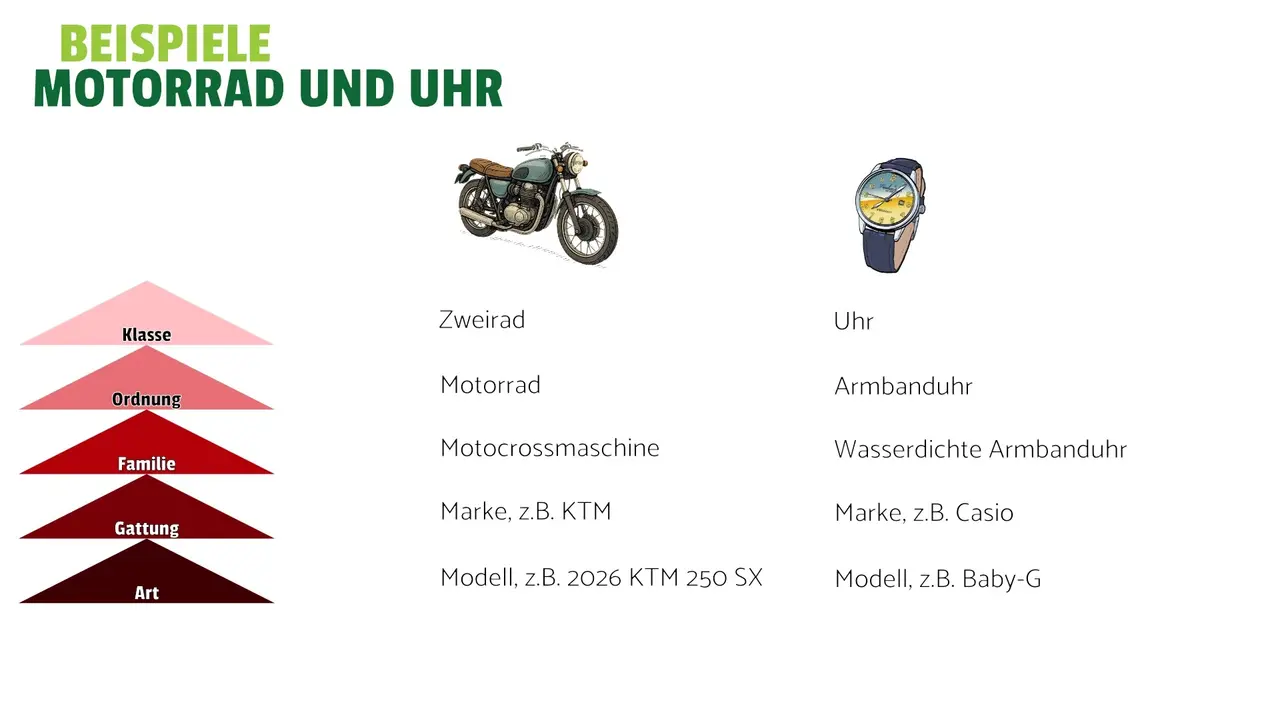 Das Schaubild zeigt die Systematik für den Gegenstand Armbanduhr und Motorrad. 