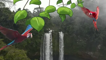 Ein Wasserfall mit fliegenden Aras - im Comic Stil hinzugefügt - Blätter einer Ranke. 