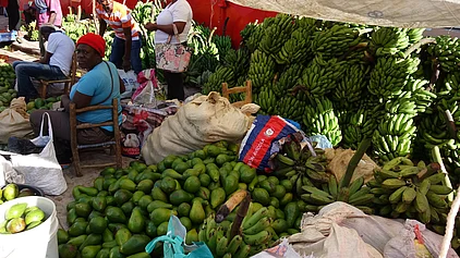 Eine Frau sitzt in einem Markstand in Nordamerika umringt von Bananen. 
