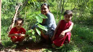 1 Frau und 2 Kinder pflanzen einen Baum in Guatemala.