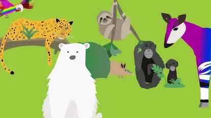 Das Bild zeigt einen bunten Ara, Jaguar, Eisbär, Faultier, Armadillo, Bonobo und Okapi auf grünem Hintergrund. 