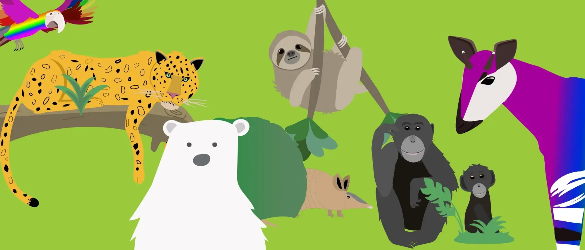 Das Bild zeigt einen bunten Ara, Jaguar, Eisbär, Faultier, Armadillo, Bonobo und Okapi auf grünem Hintergrund. 