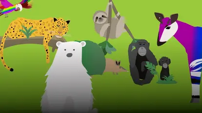 Sticker mit Tiermotiven ©OroVerde Das Bild zeigt einen bunten Ara, Jaguar, Eisbär, Faultier, Armadillo, Bonobo und Okapi auf grünem Hintergrund.