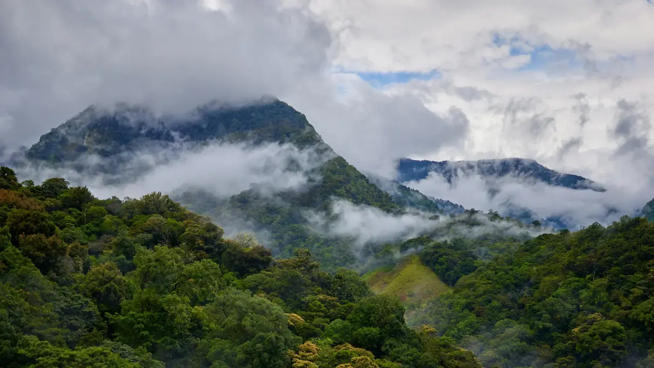 Bild von Wolken über dem Regenwald. Im Regenwald fällt viel Regen. So kann auch viel Wasser verdunsten, was zu einer starken Wolkenbildung führt. 