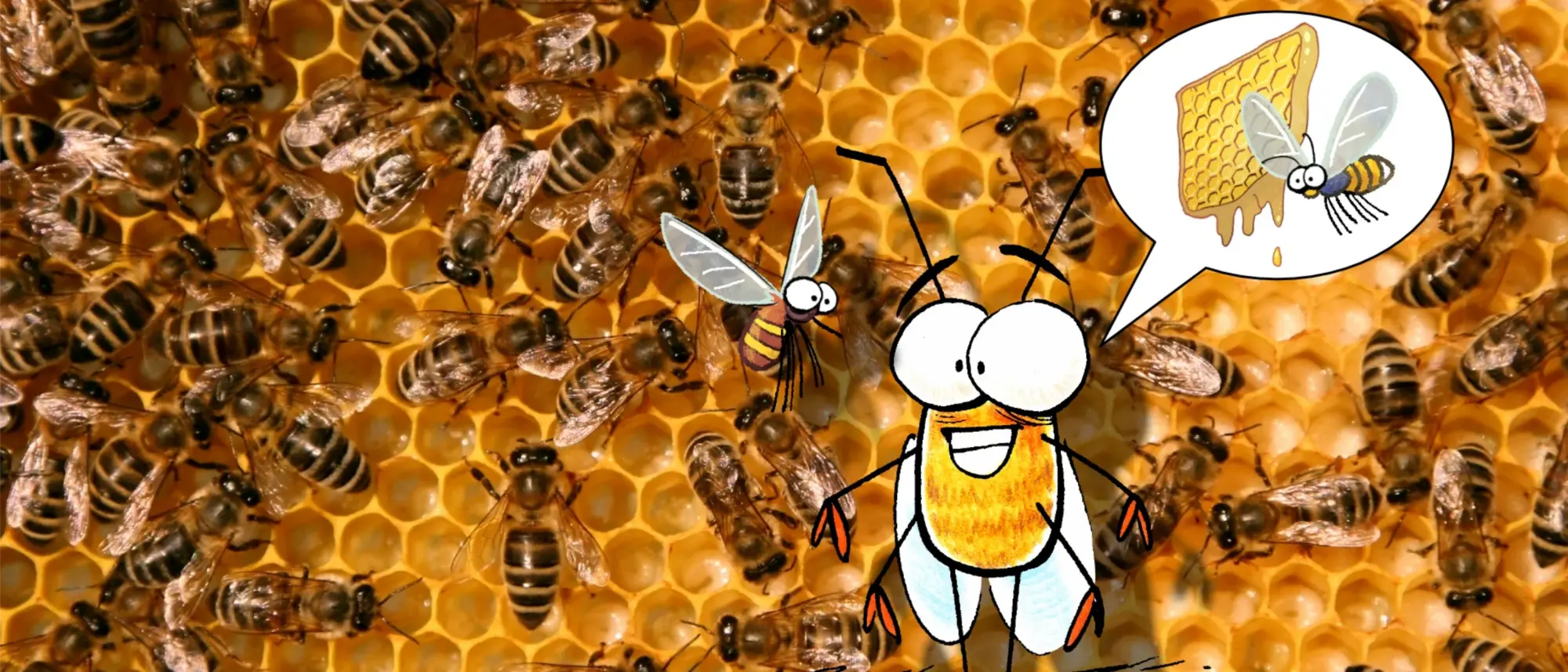 Die Nahansicht einer Bienenwabe mit vielen Bienen- im Comic Stil hinzugefügt - eine weitere Biene denkt an "Waben und Bienen".