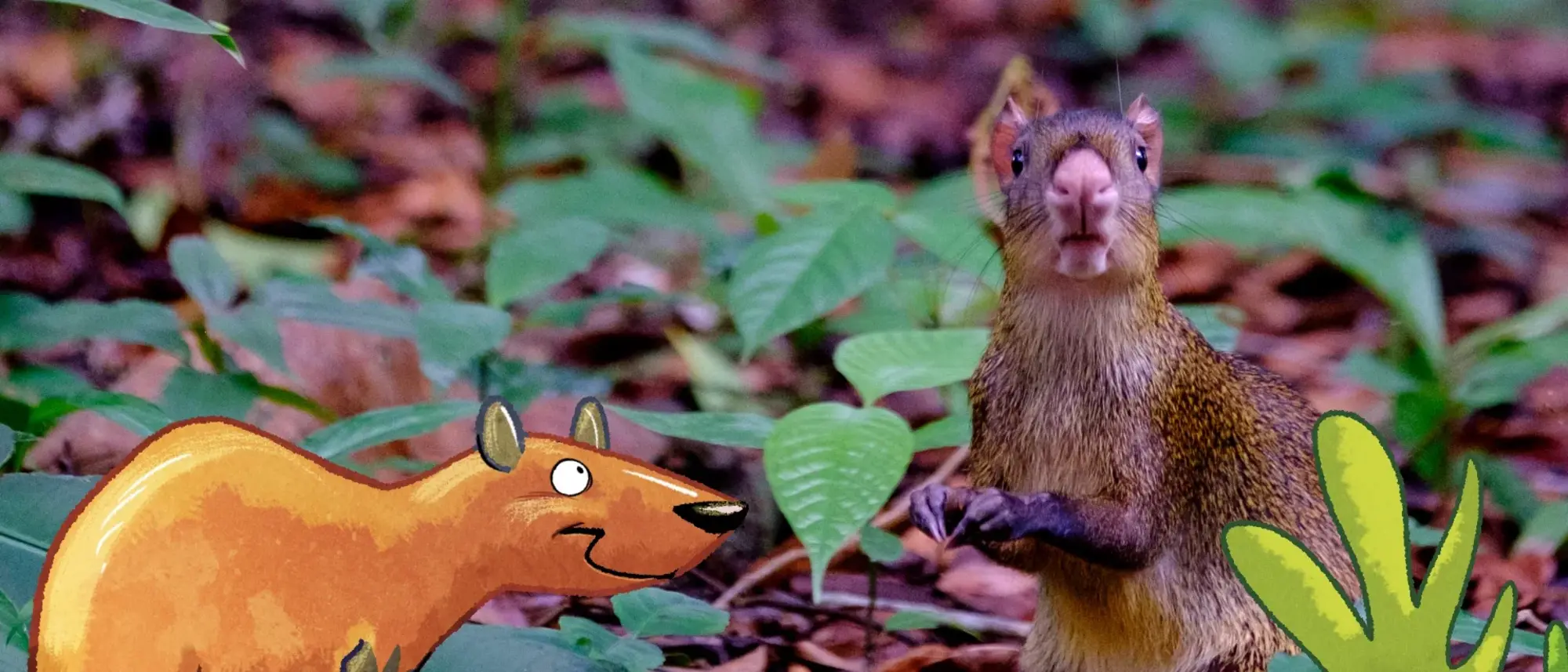 Ein Aguti im Unterholz des Waldes - im Comic-Stil hinzugefügt - ein weiteres Aguti und ein Strauch. 