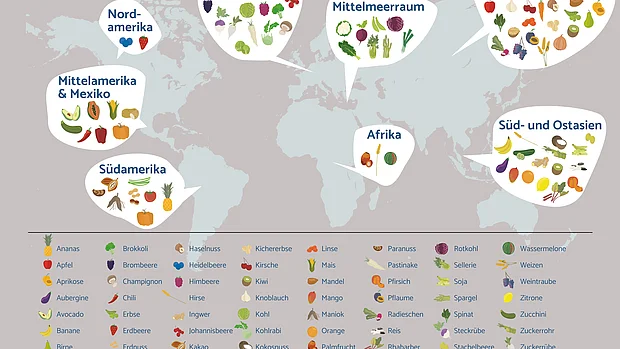 Eine Weltkarte zeigt die ursprüngliche Herkunft unserer Obst- und Gemüsesorten nach Kontinenten. Auf weißen Bubbles sind die Früchte als Zeichnungen abgebildet. 