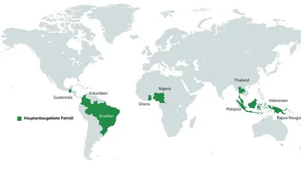 Weltkarte mit den Hauptanbauländern von Palmöl - grün markiert. 