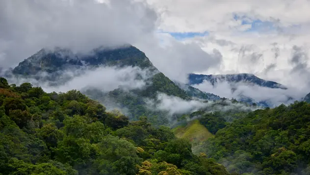 In diesem Bild sind ein Regenwald und Berge, umgeben von Wolken zu sehen. Fliegende Flüsse bewegen sich in Form von Wolken über den Regenwald.