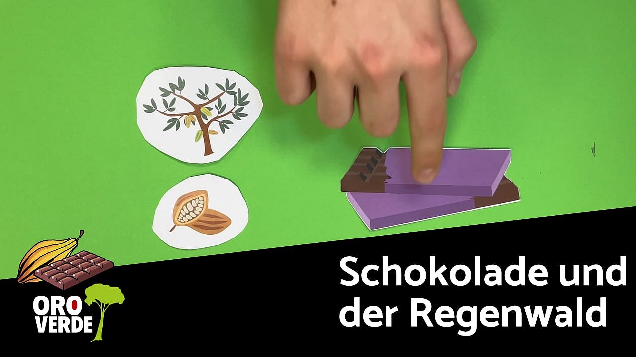 Für Kinder erklärt: So macht Schokolade glücklich – Mischkulturen und Agroforst für nachhaltigen Genuss